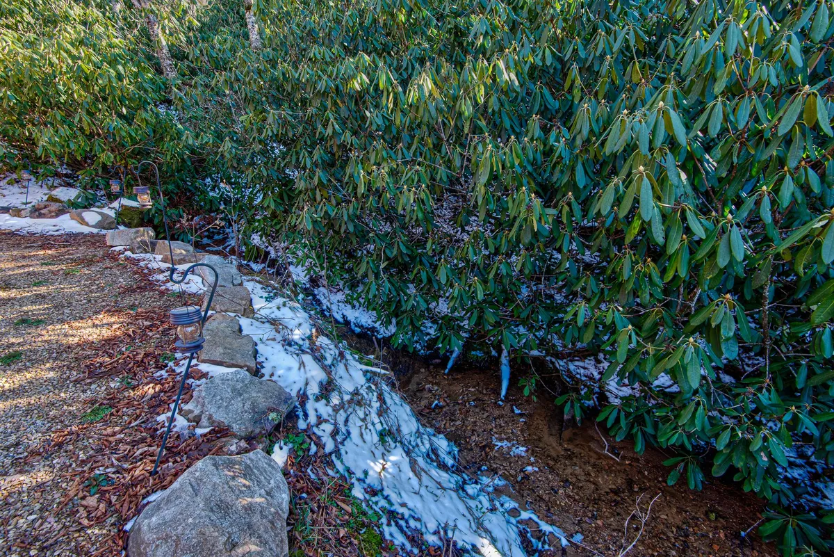 A lush, green landscape features a gentle stream and a rock pathway winding through vibrant foliage. This inviting outdoor space encourages nature walks, birdwatching, and quiet reflection by the water’s edge.